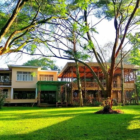 הוסטל Jinja Backpackers מראה חיצוני תמונה
