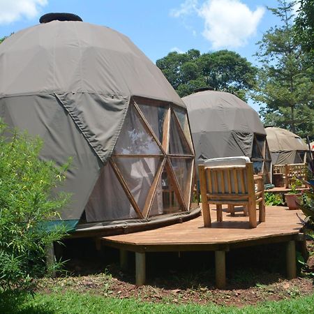הוסטל Jinja Backpackers מראה חיצוני תמונה