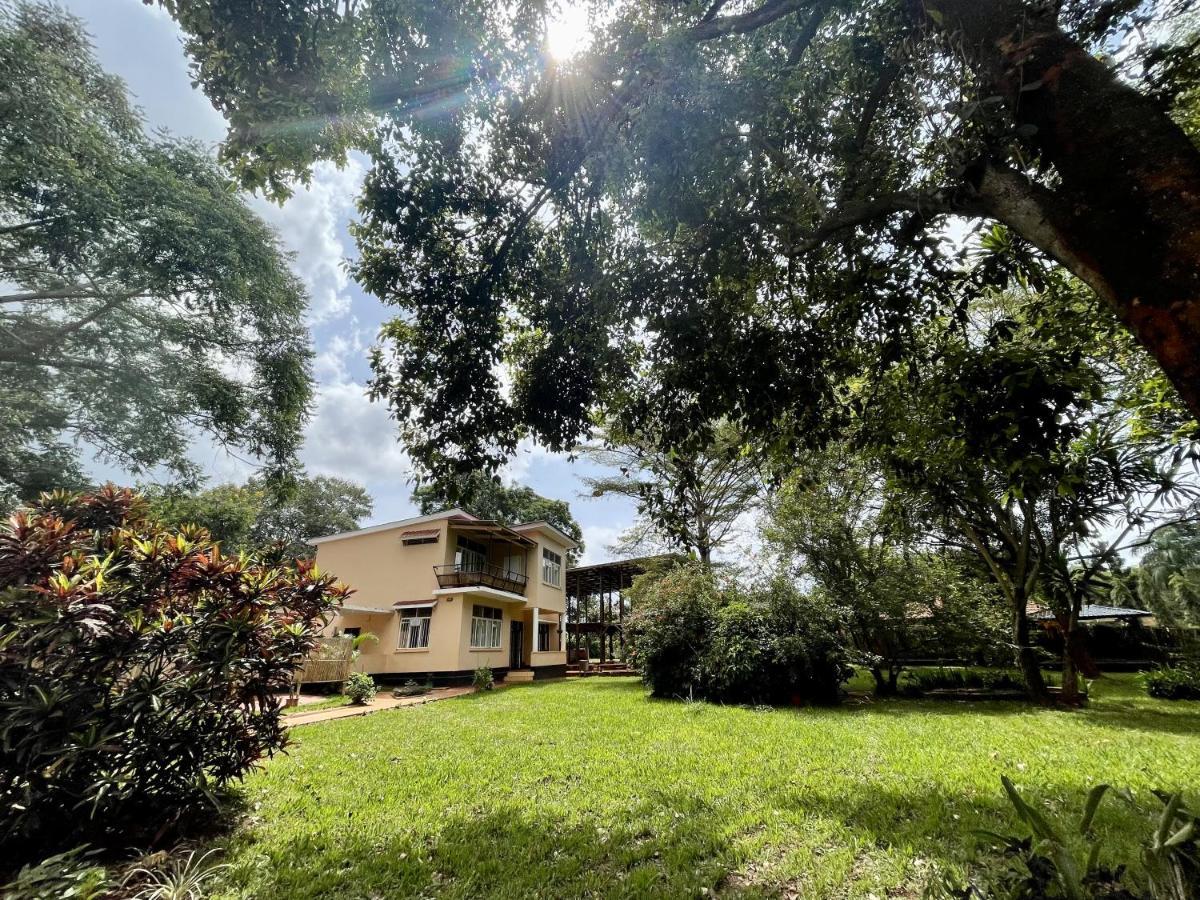 הוסטל Jinja Backpackers מראה חיצוני תמונה