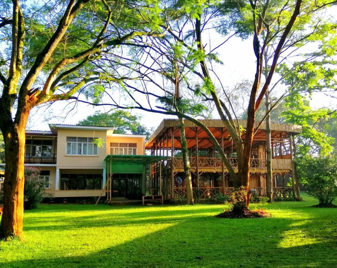 הוסטל Jinja Backpackers מראה חיצוני תמונה