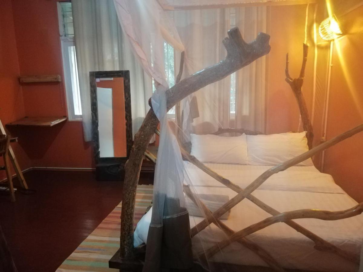 הוסטל Jinja Backpackers מראה חיצוני תמונה