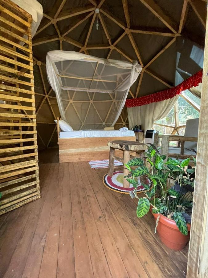 הוסטל Jinja Backpackers מראה חיצוני תמונה