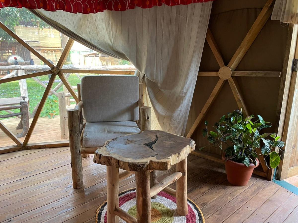 הוסטל Jinja Backpackers מראה חיצוני תמונה