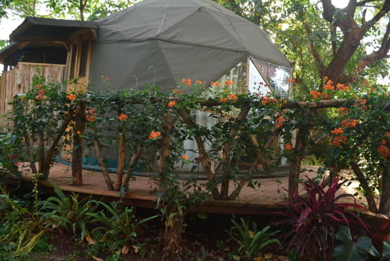 הוסטל Jinja Backpackers מראה חיצוני תמונה