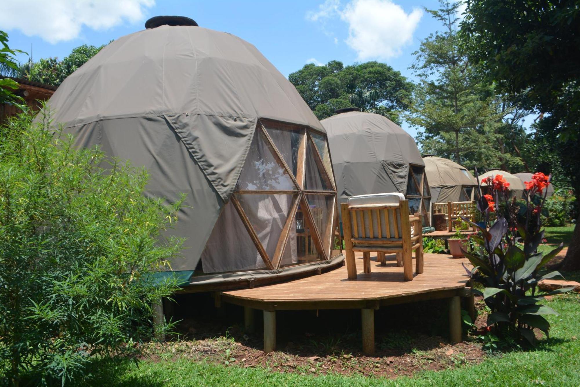 הוסטל Jinja Backpackers מראה חיצוני תמונה