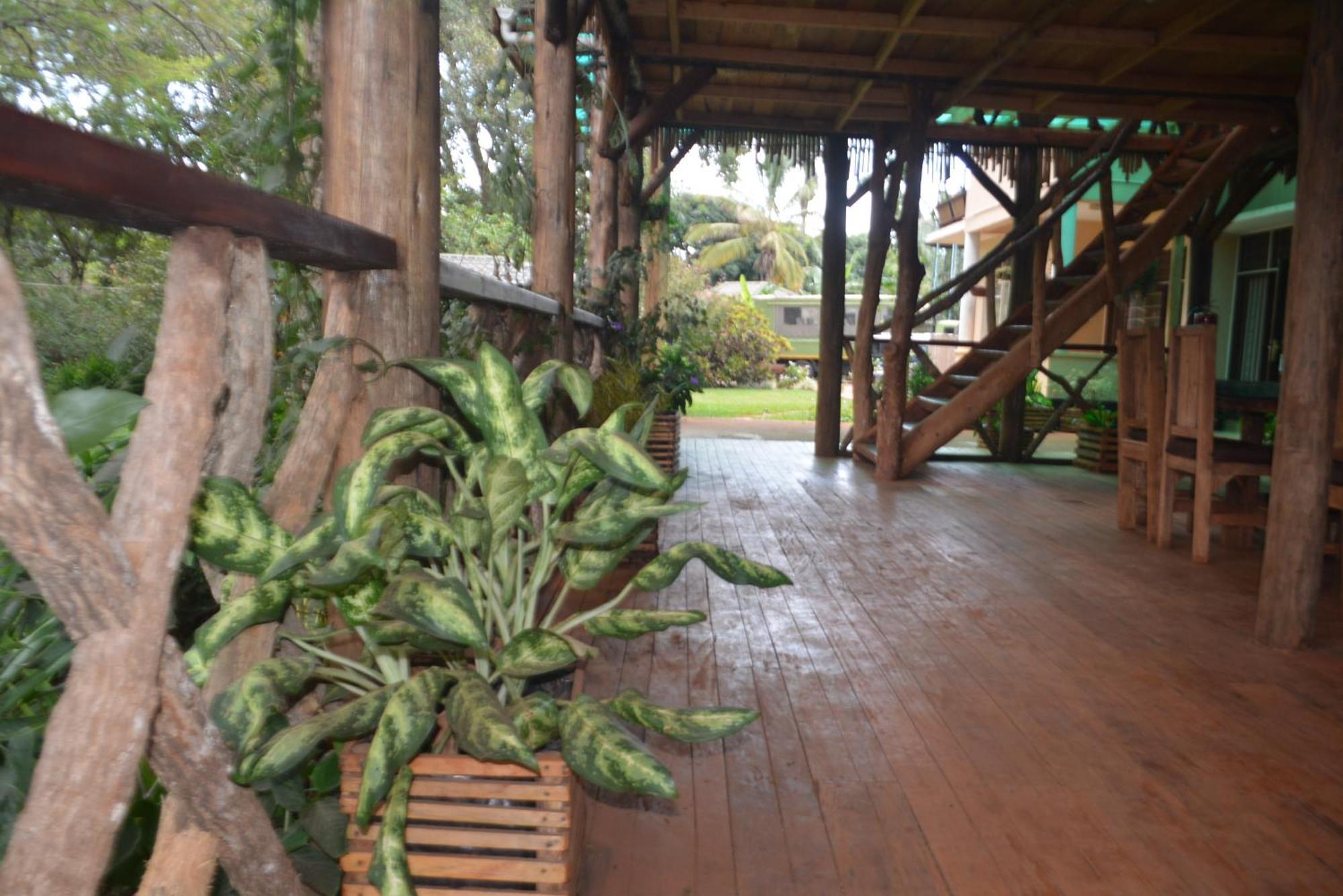 הוסטל Jinja Backpackers מראה חיצוני תמונה