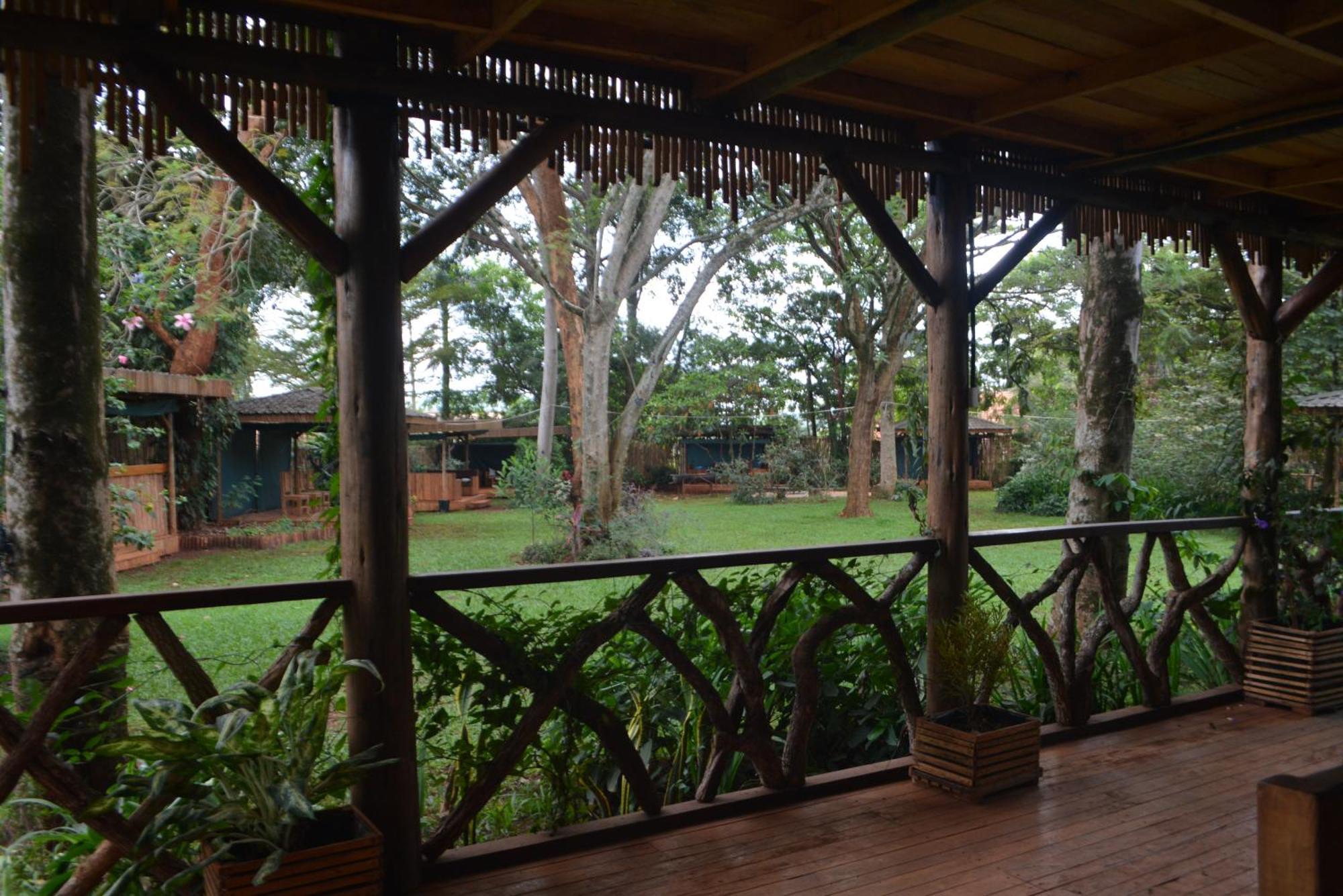 הוסטל Jinja Backpackers מראה חיצוני תמונה