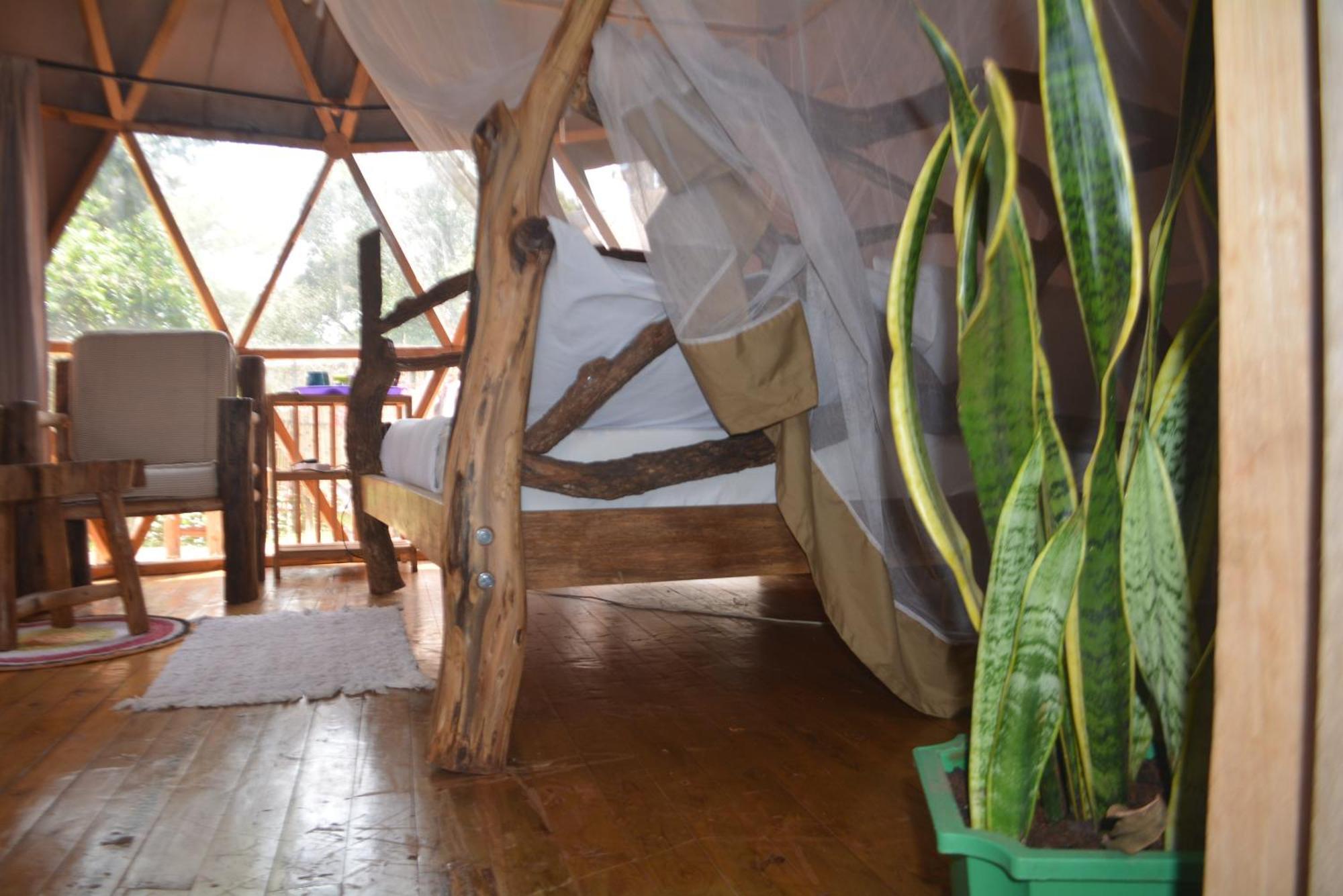 הוסטל Jinja Backpackers מראה חיצוני תמונה