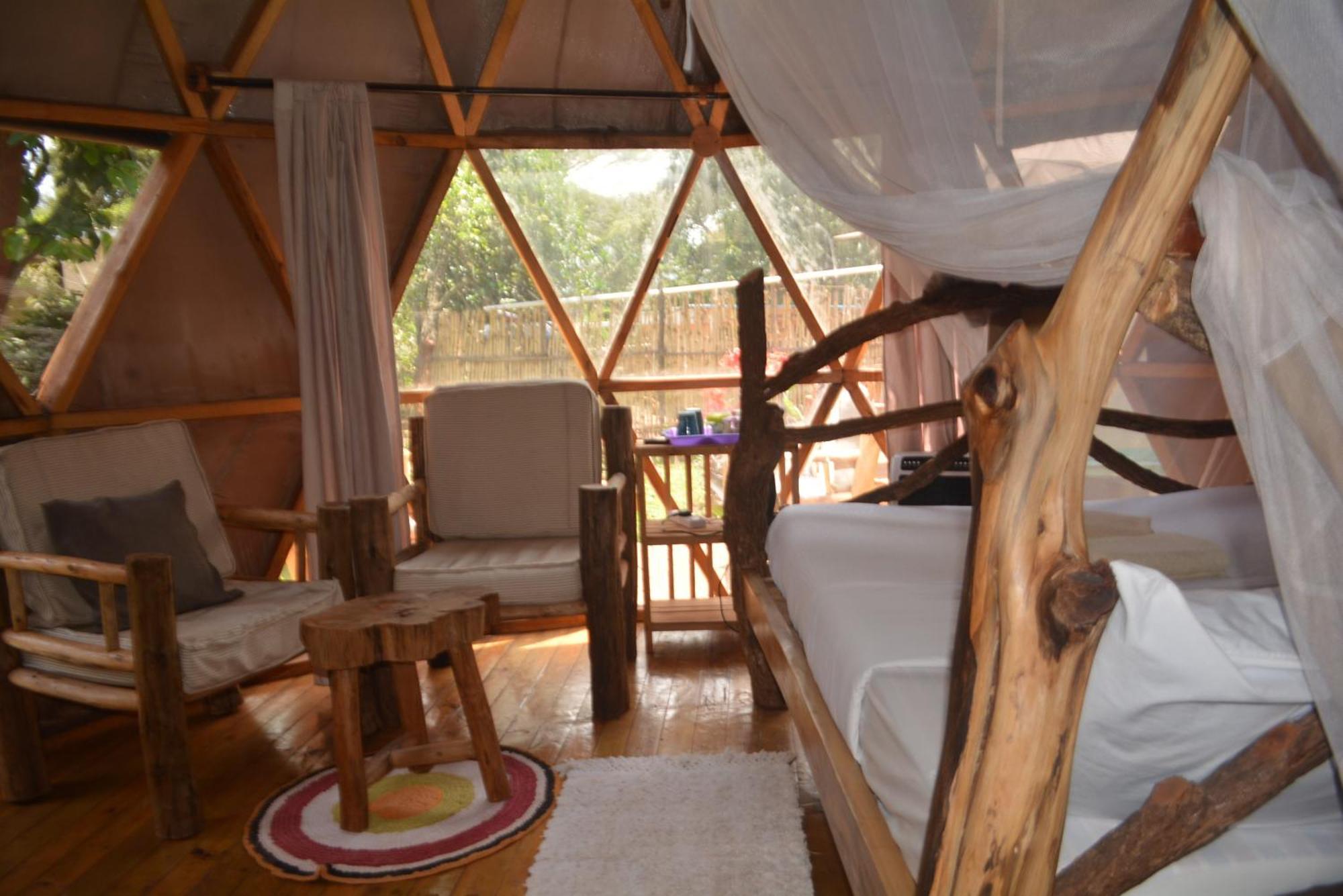 הוסטל Jinja Backpackers מראה חיצוני תמונה
