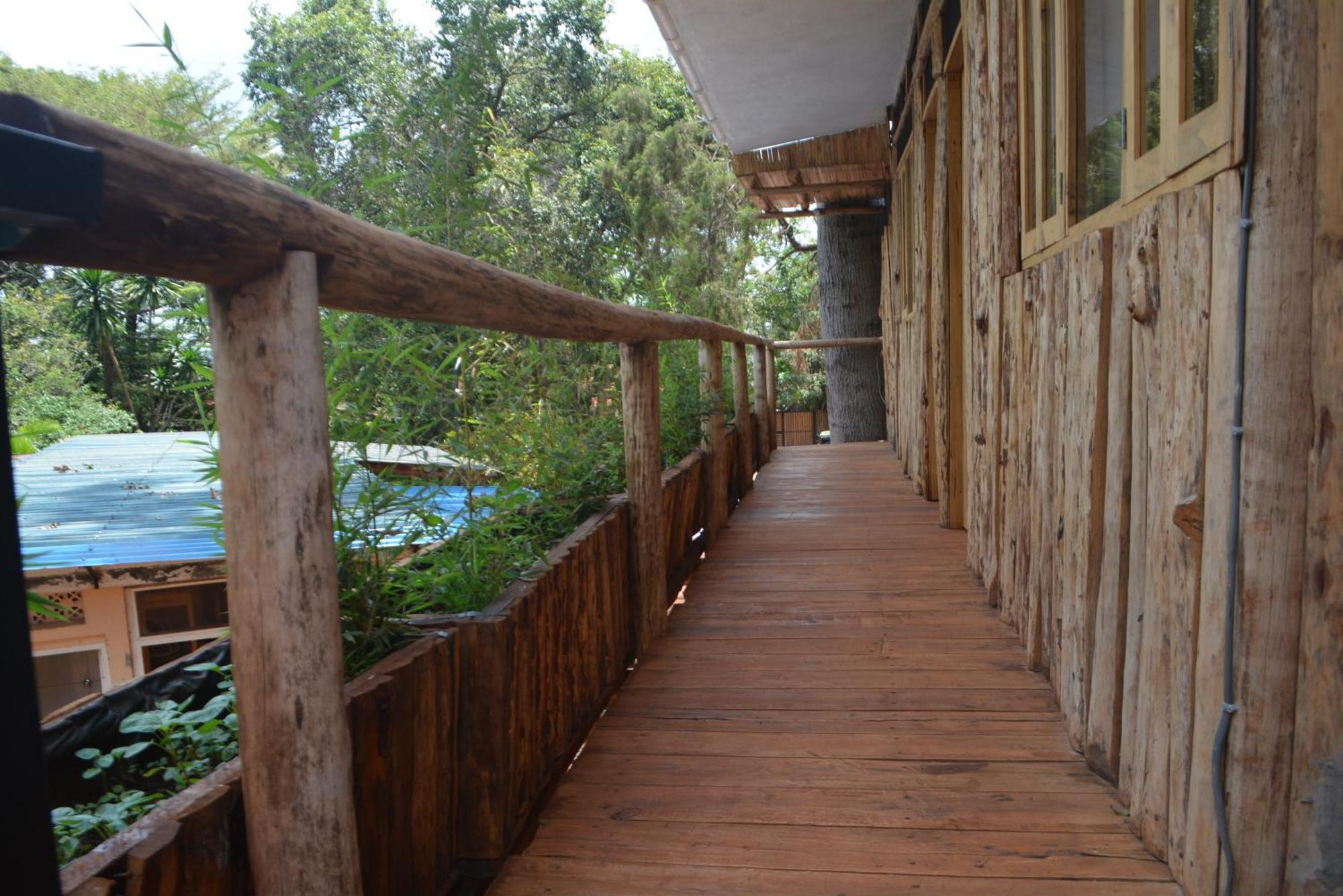 הוסטל Jinja Backpackers מראה חיצוני תמונה